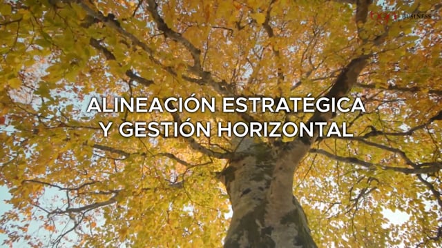 6. ⁠BGA Alineación y Gestión Horizontal