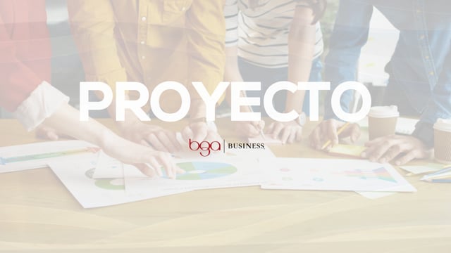 11. ⁠Proyecto